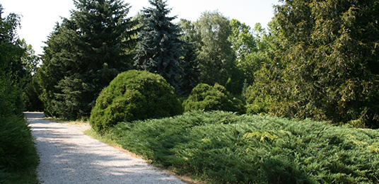 Arborétum